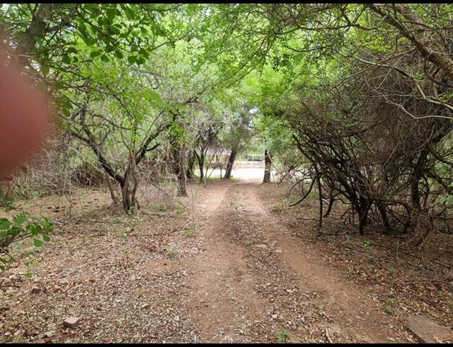 4 BEDROOM HOUSE FOR SALE IN MARLOTH PARK